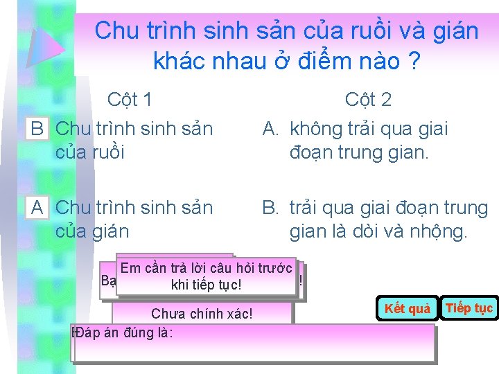 Chu trình sinh sản của ruồi và gián khác nhau ở điểm nào ?