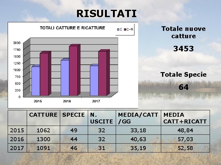 RISULTATI Totale nuove catture 3453 Totale Specie 64 CATTURE SPECIE N. MEDIA/CATT MEDIA USCITE