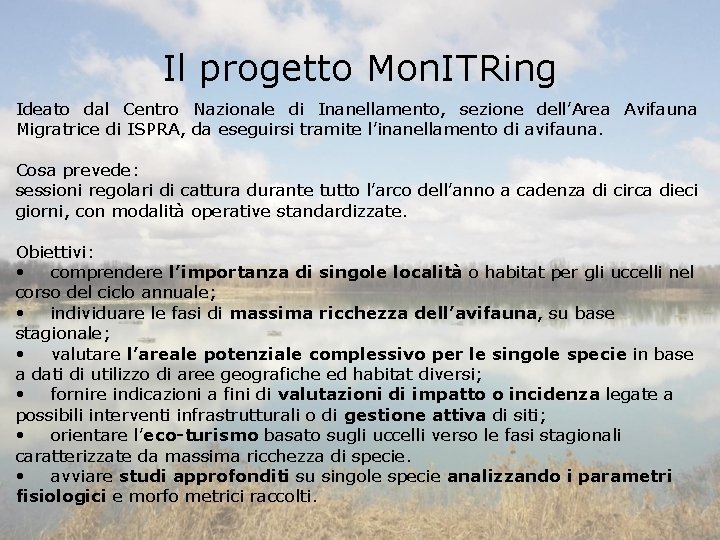 Il progetto Mon. ITRing Ideato dal Centro Nazionale di Inanellamento, sezione dell’Area Avifauna Migratrice