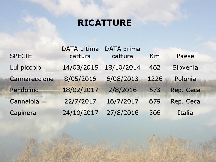 RICATTURE SPECIE DATA ultima DATA prima cattura Km Paese Luì piccolo 14/03/2015 18/10/2014 462