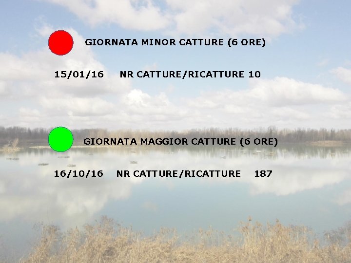 GIORNATA MINOR CATTURE (6 ORE) 15/01/16 NR CATTURE/RICATTURE 10 GIORNATA MAGGIOR CATTURE (6 ORE)