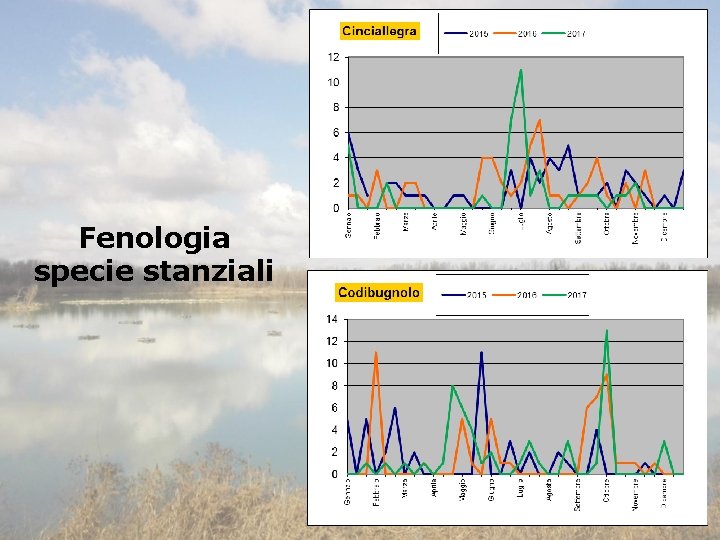 Fenologia specie stanziali 