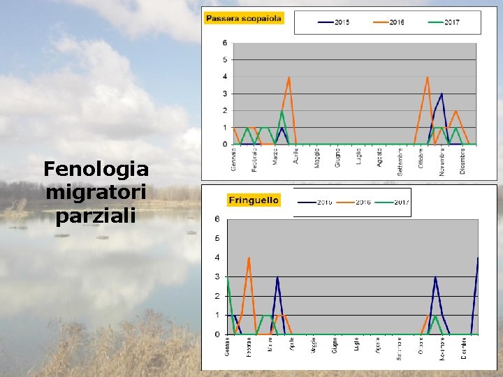 Fenologia migratori parziali 