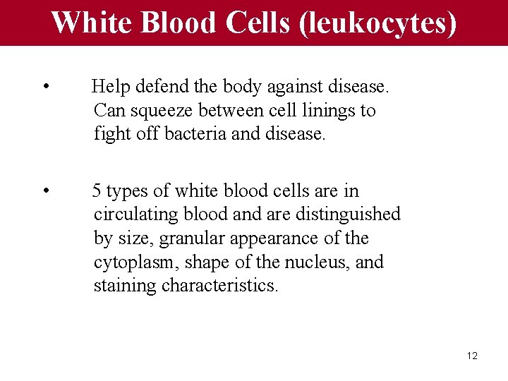 White Blood Cells (leukocytes) • Help defend the body against disease. Can squeeze between