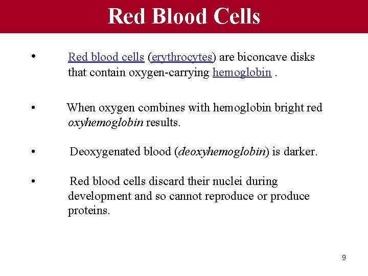 Red Blood Cells • Red blood cells (erythrocytes) are biconcave disks that contain oxygen-carrying