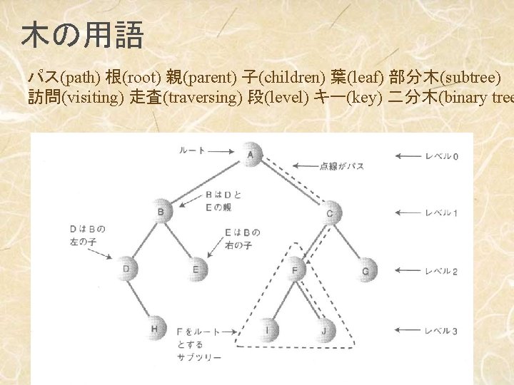 木の用語 パス(path) 根(root) 親(parent) 子(children) 葉(leaf) 部分木(subtree) 訪問(visiting) 走査(traversing) 段(level) キー(key) 二分木(binary tree 