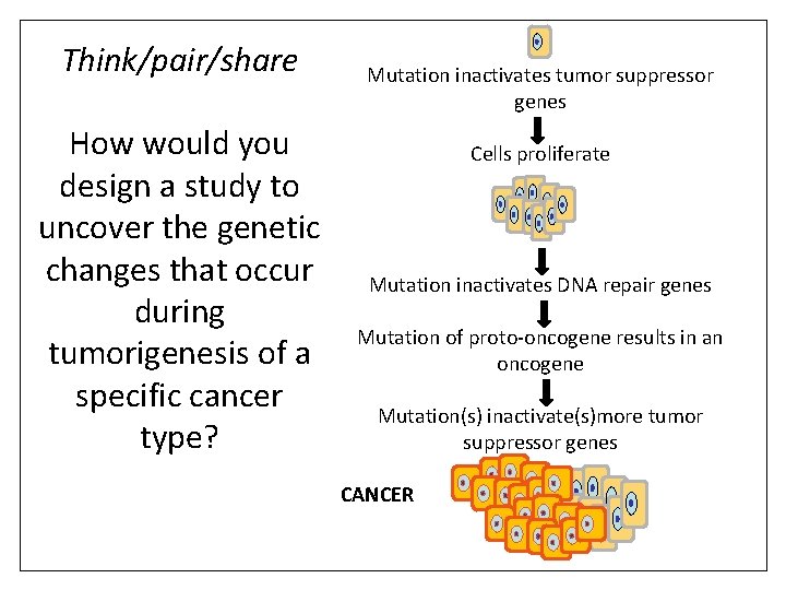 Think/pair/share How would you design a study to uncover the genetic changes that occur