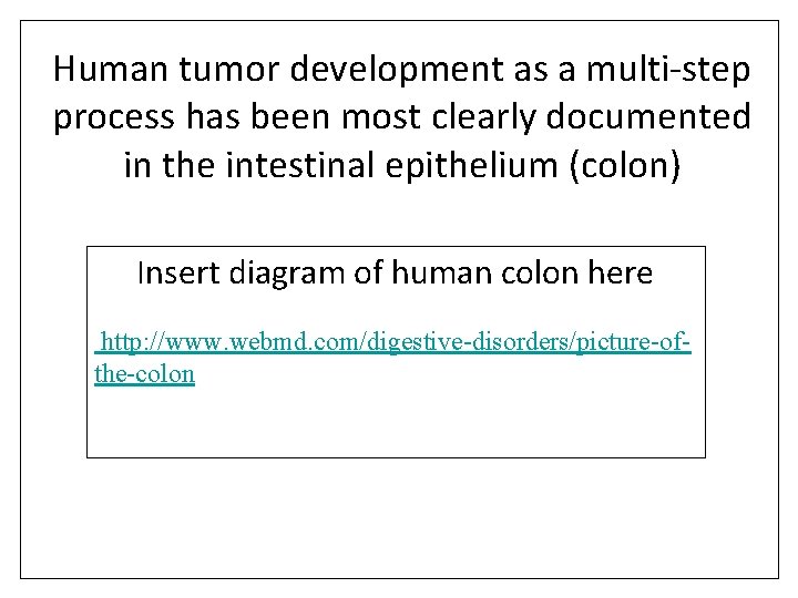 Human tumor development as a multi-step process has been most clearly documented in the