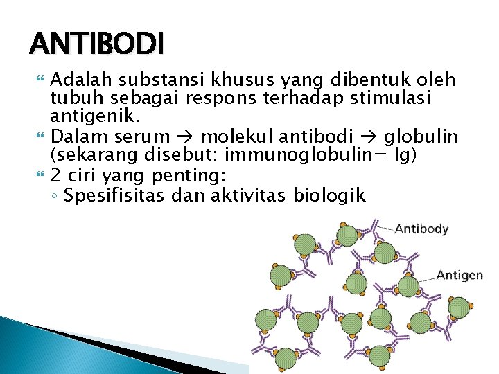 ANTIBODI Adalah substansi khusus yang dibentuk oleh tubuh sebagai respons terhadap stimulasi antigenik. Dalam