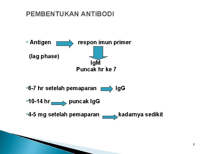 PEMBENTUKAN ANTIBODI Antigen respon imun primer (lag phase) Ig. M Puncak hr ke 7