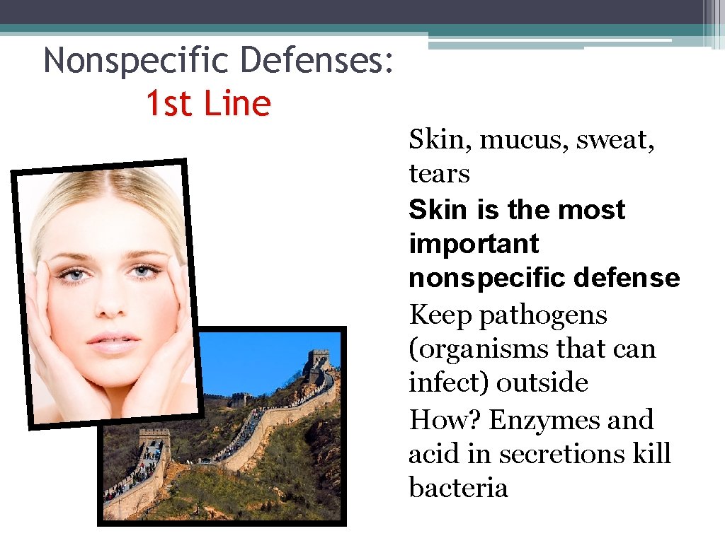 Nonspecific Defenses: 1 st Line Skin, mucus, sweat, tears Skin is the most important