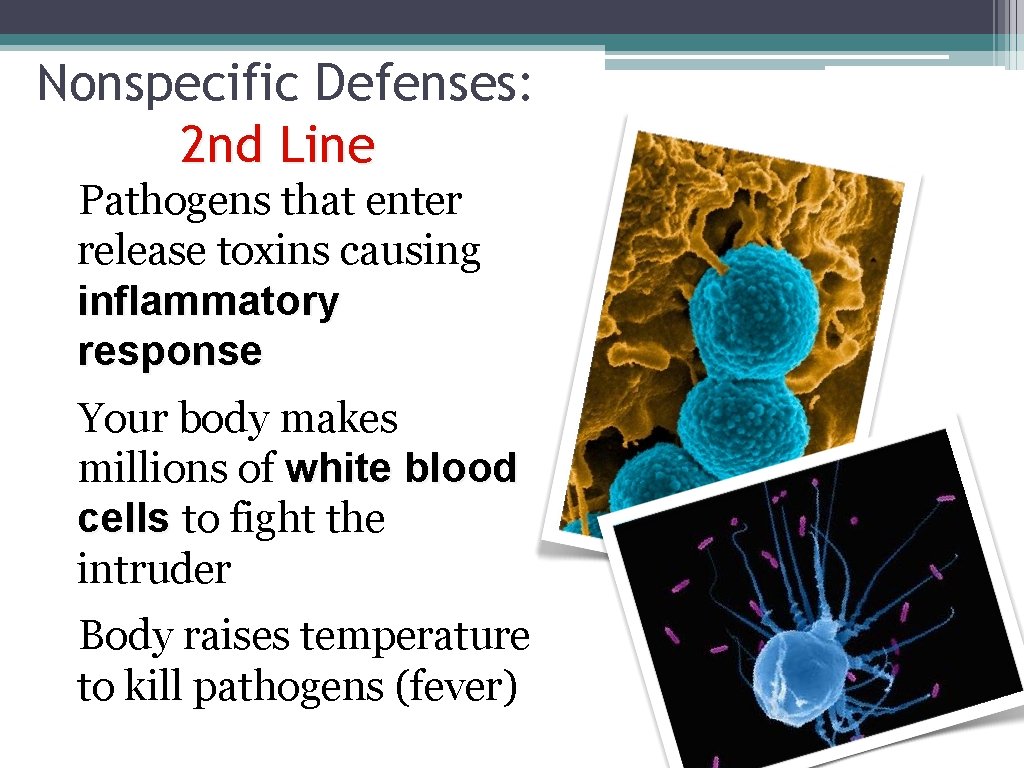 Nonspecific Defenses: 2 nd Line Pathogens that enter release toxins causing inflammatory response Your