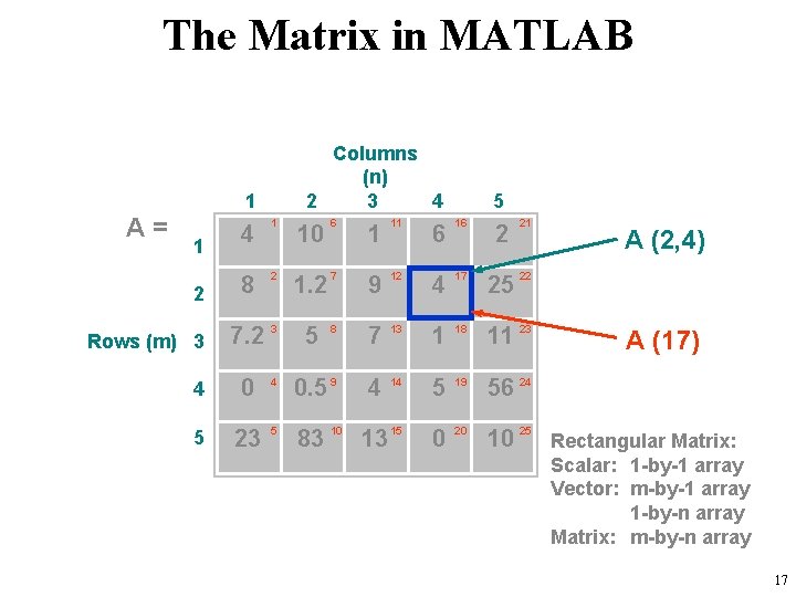 The Matrix in MATLAB Columns (n) 2 3 4 1 A= 5 4 1