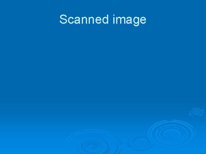 Scanned image 