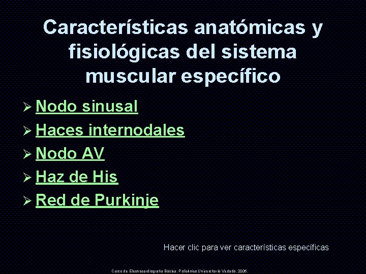Características anatómicas y fisiológicas del sistema muscular específico Ø Nodo sinusal Ø Haces internodales