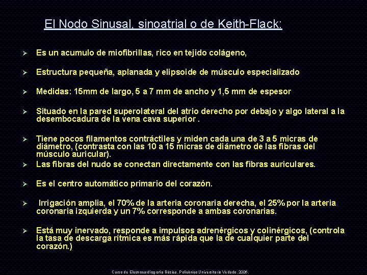 El Nodo Sinusal, sinoatrial o de Keith-Flack: Ø Es un acumulo de miofibrillas, rico