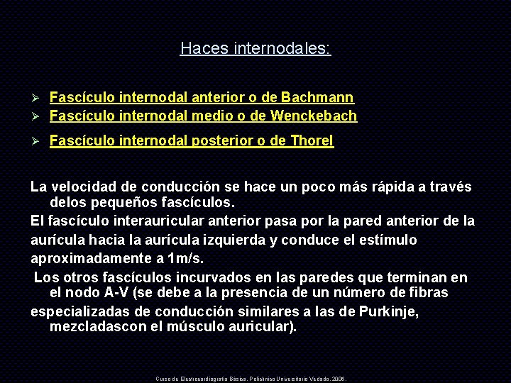 Haces internodales: Fascículo internodal anterior o de Bachmann Ø Fascículo internodal medio o de