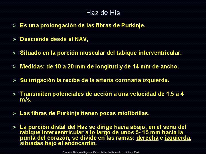 Haz de His Ø Es una prolongación de las fibras de Purkinje, Ø Desciende