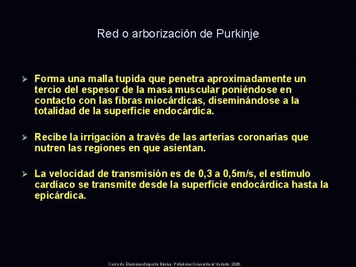 Red o arborización de Purkinje Ø Forma una malla tupida que penetra aproximadamente un