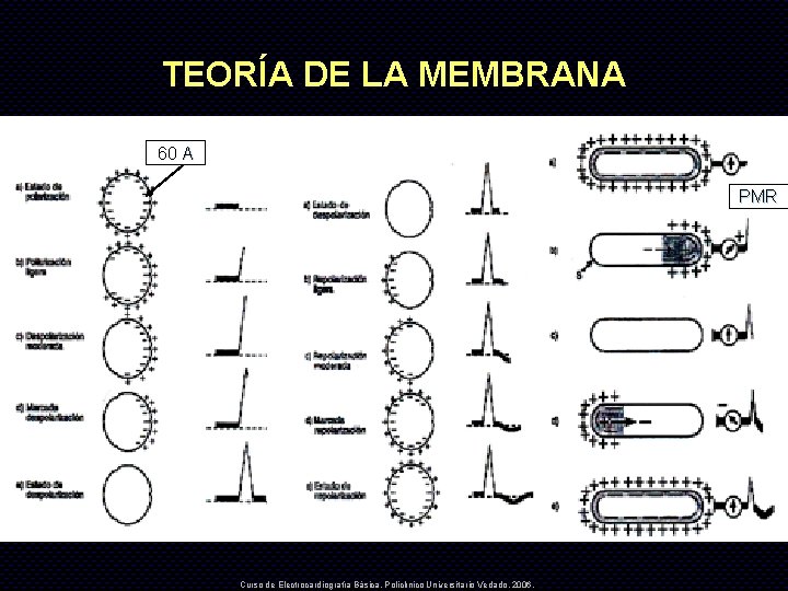 TEORÍA DE LA MEMBRANA 60 A PMR Curso de Electrocardiografía Básica. Policlínico Universitario Vedado.