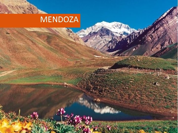 MENDOZA 