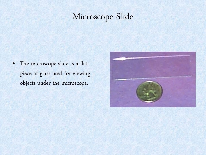 Microscope Slide • The microscope slide is a flat piece of glass used for