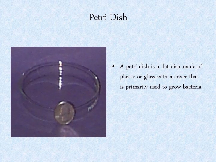 Petri Dish • A petri dish is a flat dish made of plastic or