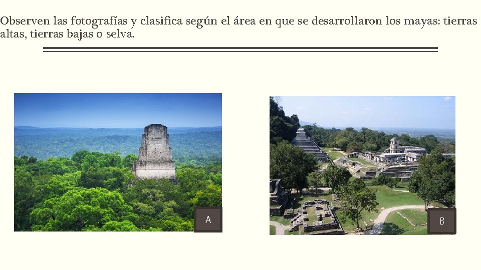 Observen las fotografías y clasifica según el área en que se desarrollaron los mayas: