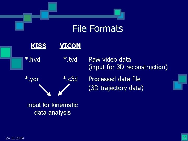 File Formats KISS VICON *. hvd *. tvd Raw video data (input for 3