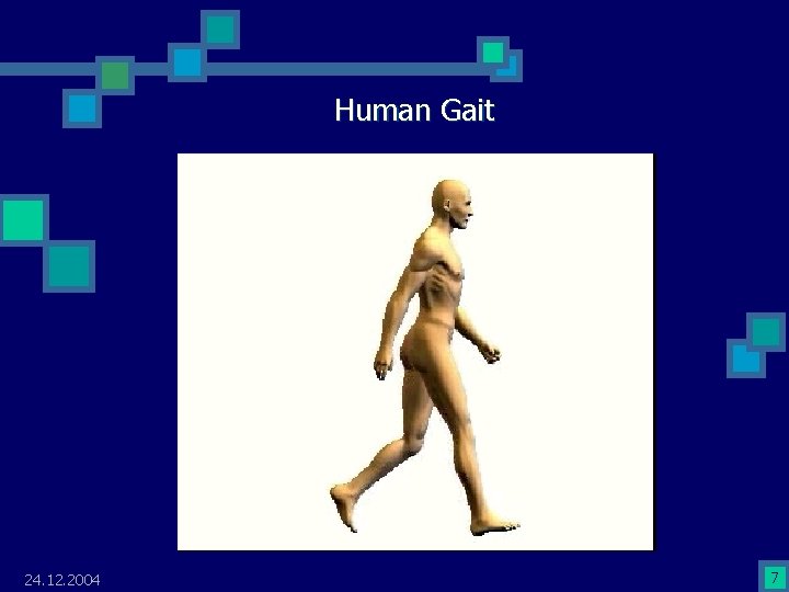 Human Gait 24. 12. 2004 7 