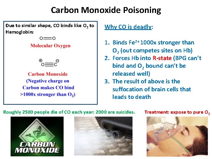 Carbon Monoxide Poisoning Due to similar shape, CO binds like O 2 to Hemoglobin: Carbon Monoxide Poisoning Due to similar shape, CO binds like O 2 to Hemoglobin: