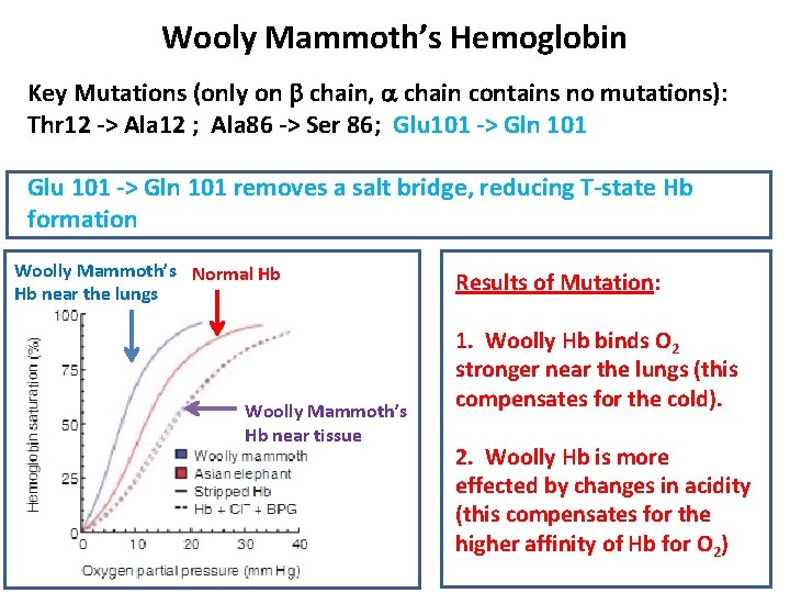 Wooly Mammoth’s Hemoglobin Key Mutations (only on b chain, a chain contains no mutations): Wooly Mammoth’s Hemoglobin Key Mutations (only on b chain, a chain contains no mutations):