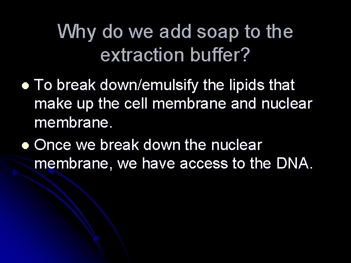 Why do we add soap to the extraction buffer? To break down/emulsify the lipids