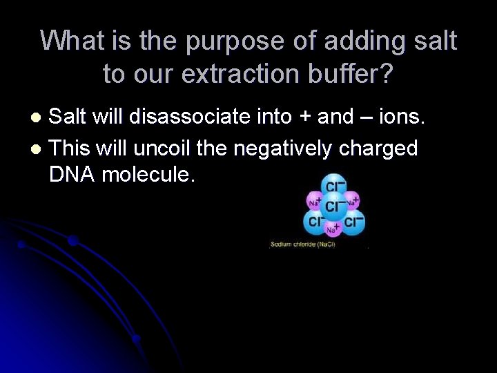 What is the purpose of adding salt to our extraction buffer? Salt will disassociate
