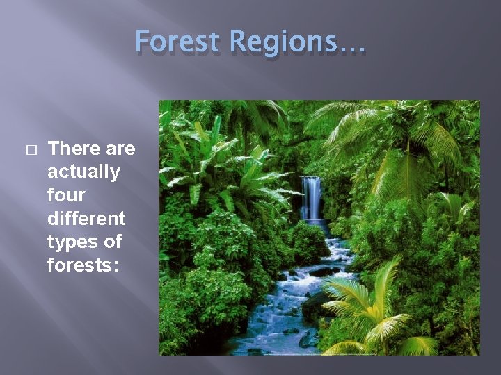 Forest Regions… � There actually four different types of forests: 