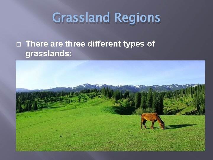 Grassland Regions � There are three different types of grasslands: 