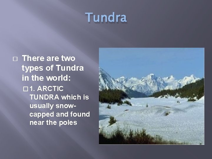 Tundra � There are two types of Tundra in the world: � 1. ARCTIC