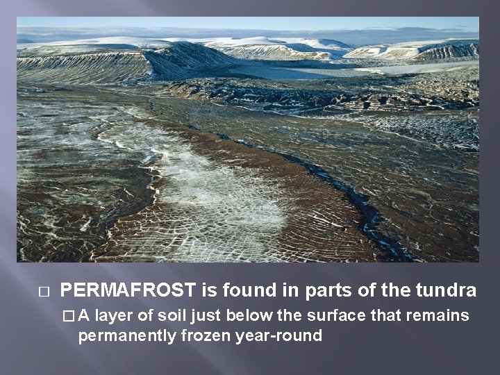 � PERMAFROST is found in parts of the tundra �A layer of soil just