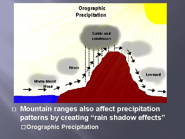 � Mountain ranges also affect precipitation patterns by creating “rain shadow effects” � Orographic