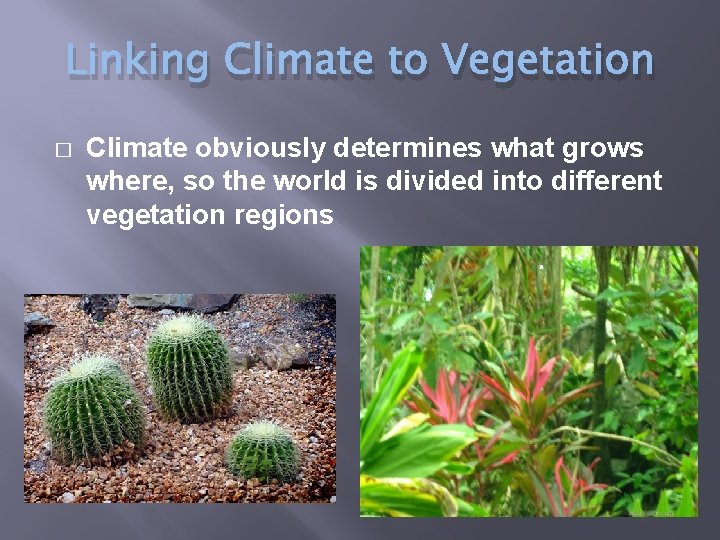 Linking Climate to Vegetation � Climate obviously determines what grows where, so the world