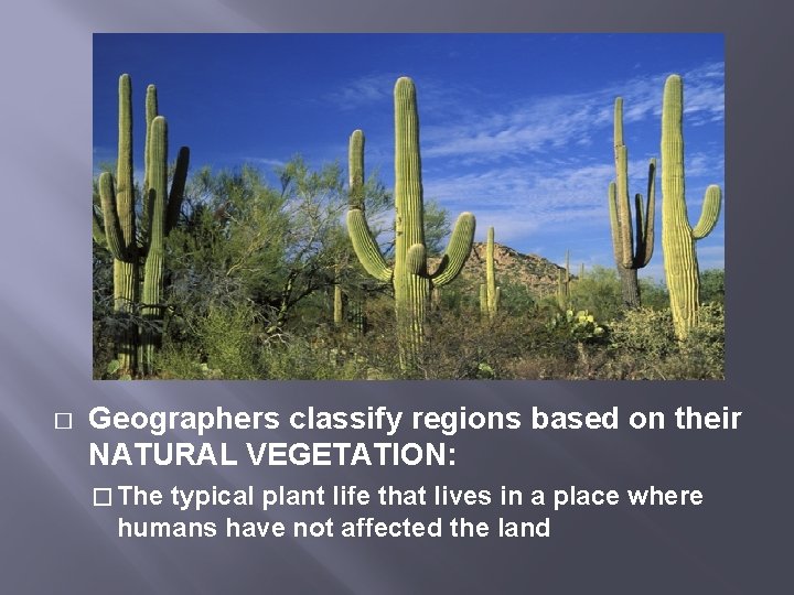 � Geographers classify regions based on their NATURAL VEGETATION: � The typical plant life