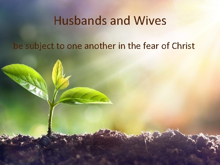 Husbands and Wives be subject to one another in the fear of Christ 