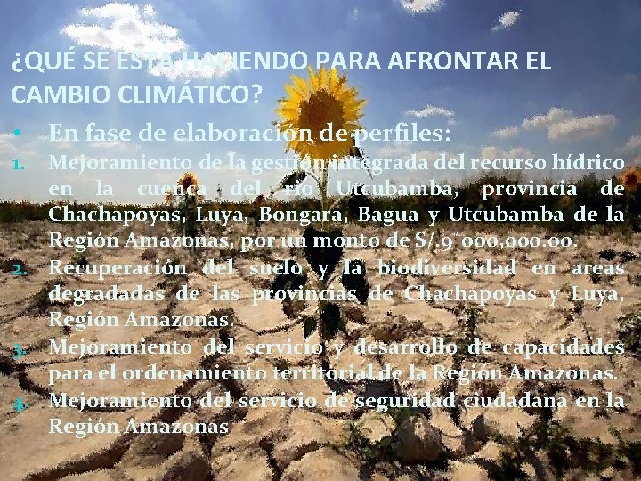 ¿QUÉ SE ESTA HACIENDO PARA AFRONTAR EL CAMBIO CLIMÁTICO? • En fase de elaboración