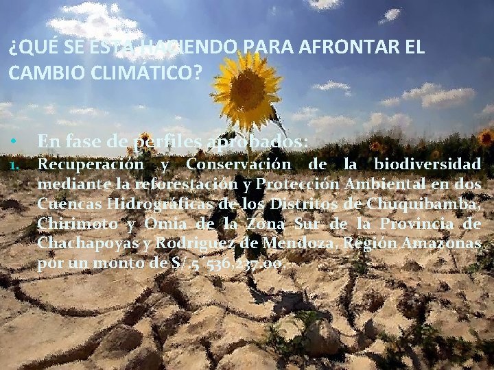 ¿QUÉ SE ESTA HACIENDO PARA AFRONTAR EL CAMBIO CLIMÁTICO? • En fase de perfiles