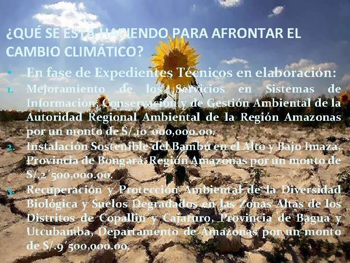 ¿QUÉ SE ESTA HACIENDO PARA AFRONTAR EL CAMBIO CLIMÁTICO? • En fase de Expedientes