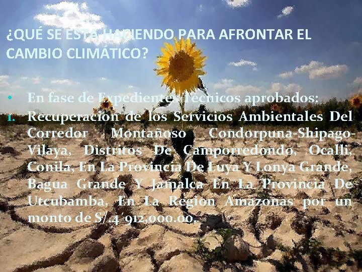 ¿QUÉ SE ESTA HACIENDO PARA AFRONTAR EL CAMBIO CLIMÁTICO? • En fase de Expedientes