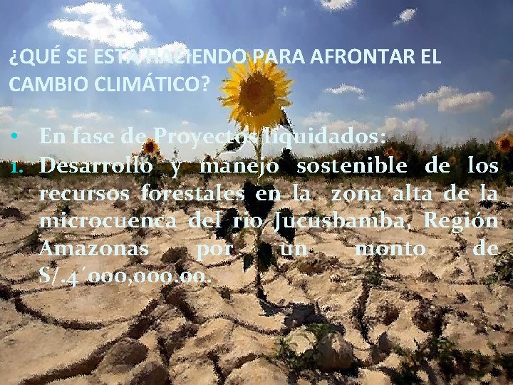 ¿QUÉ SE ESTA HACIENDO PARA AFRONTAR EL CAMBIO CLIMÁTICO? • En fase de Proyectos