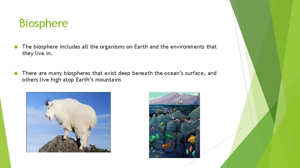 Biosphere The biosphere includes all the organisms on Earth and the environments that they