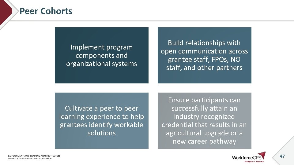 Peer Cohorts Implement program components and organizational systems Build relationships with open communication across