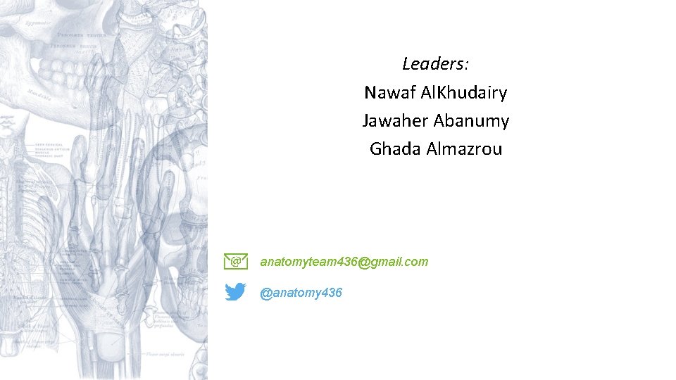 Leaders: Nawaf Al. Khudairy Jawaher Abanumy Ghada Almazrou anatomyteam 436@gmail. com @anatomy 436 